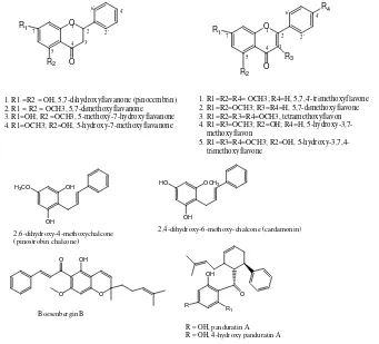 Figure 4. Structure isolated compounds  from K. pandurata 