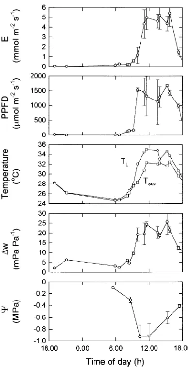 Table 3. Diel budgets of photosynthetic photon flux density (PPFD,mol m−2 day−1) and diel evaporative leaf water loss (E, mol m−2day−1), estimated from gas exchange measurements in situ