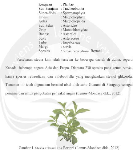 Gambar 1.  Stevia rebaudiana Bertoni (Lemus-Mondaca dkk., 2012) 