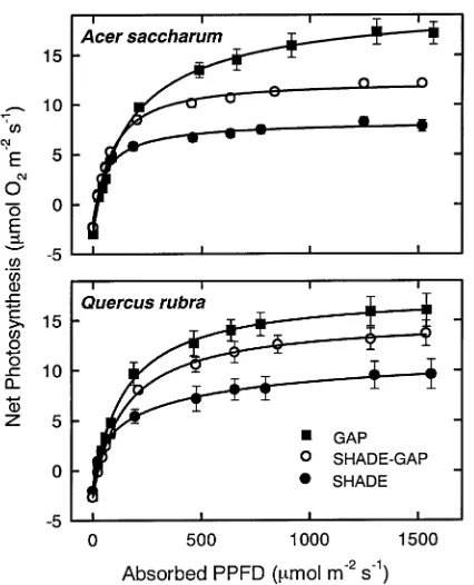 Figure 1. Response of net photosynthesis, measured as O2to absorbed photosynthetic photon flux density (PPFD) of charum(Gap) or the forest understory (Shade) or grown in the forest under-story and transferred to a canopy gap (Shade-Gap)