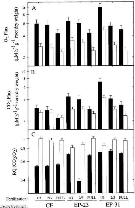 Figure 5. Comparison of October 1993 pre-harvest (filled) and post-harvest (open) O2 consumption (A), CO2 production (B), and RQ (C)of soil surrounding roots of ponderosa pine grown at 1/3, 2/3 or fullfertilization and exposed to either EP-31 (31 µmol mol−