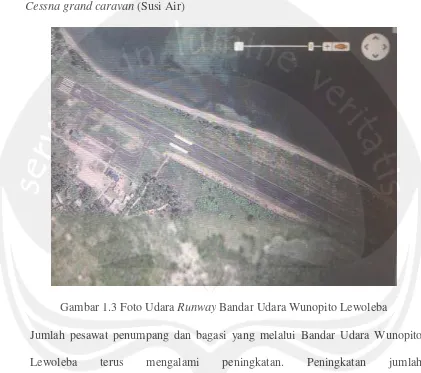 Gambar 1.3 Foto Udara Runway Bandar Udara Wunopito Lewoleba