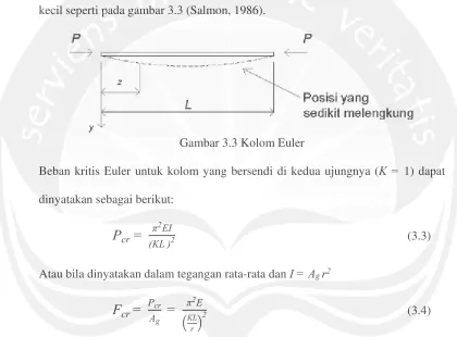 Gambar 3.3 Kolom Euler 
