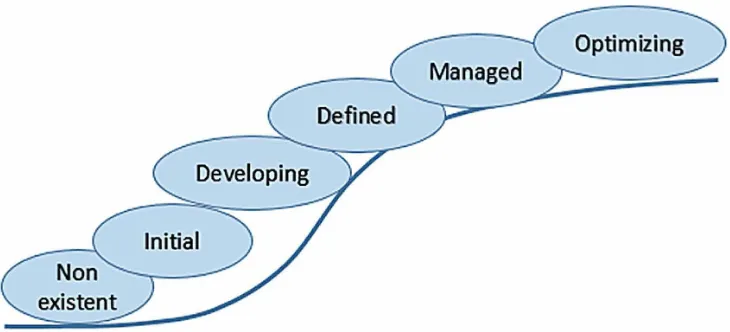 Figure 5. Big Data Security Management Maturity Model