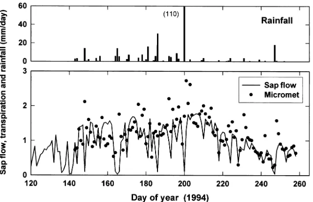 Figure 8. Daily values of stand transpi-ration measured by sap flow and mi-crometeorological techniques (May tomid-September 1994)