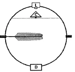 Figure 1. Schematic of the sphere illustrating the light source (L) at thetop and a detector (D) at the bottom