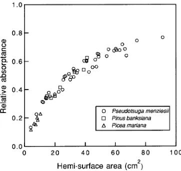 Figure 2. Relationship between relative absorptance and hemi-surfacearea estimated by the volume displacement method for twigs ofPinus banksiana, Picea mariana, and Pseudotsuga menziesii