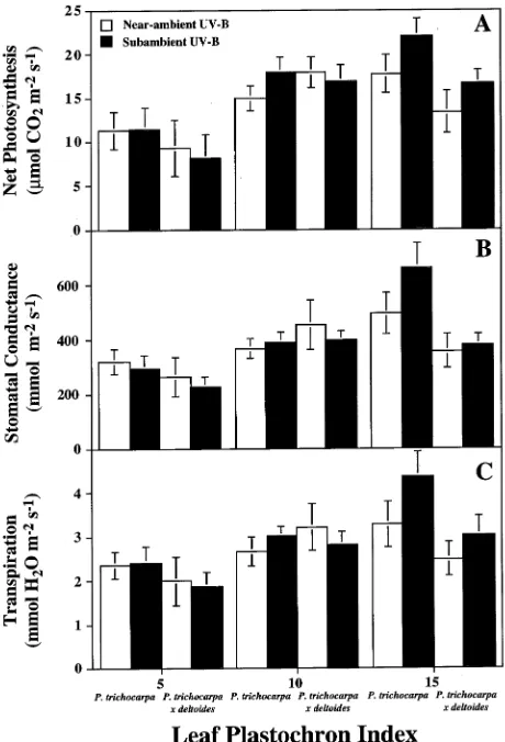Figure 1. Relationships between leaf age and net photosynthesis (A),stomatal conductance (B), and transpiration (C) in Populus grown innear-ambient UV-B radiation or subambient UV-B radiation