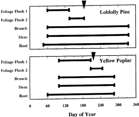 Figure 1. Assumed relationships between cumulative O3 uptake andmaximum C assimilation in yellow poplar and loblolly pine.