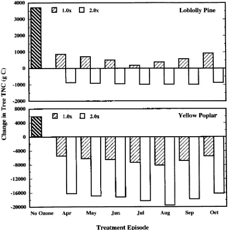 Figure 5. Change in coarse root mass following a 3-year TREGROsimulation of mature loblolly pine and yellow poplar trees with no O3exposure and monthly peak O3 episodes