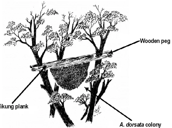 Fig. 4. Diagram of a tikung