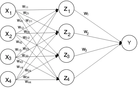 Figure 3. Structure of Neural Networks with 