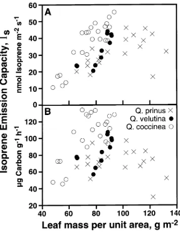 Figure 8. Isoprene emission capacity of leaves of three oak species atvarious heights in a canopy as a function of leaf mass per unit area.mEmission capacity (emission rate at 30 °C and PPFD = 1000 µmol−2 s−1) is expressed on both a leaf area basis (A) and a dry mass basis(B).