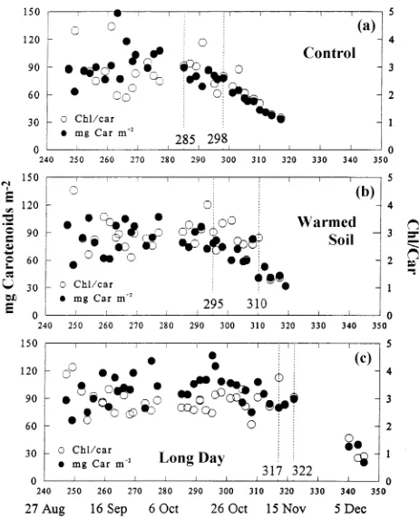 Figure 3. Date of decline of chlorophyll and chlorophyll a/b ratio for(a) control, (b) warmed-soil and (c) long-day seedlings