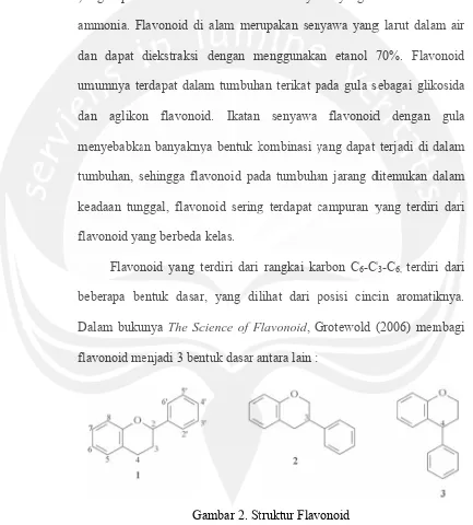 Gambar 2. Sttruktur Flavvonoid 