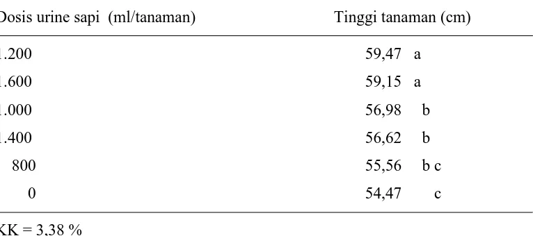 Tabel 1.  Tinggi tanaman rosella pada pemberian beberapa  dosis urine sapi pada          umur 8 MST