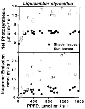 Figure 1. Effects of incident PPFD on net photosynthesis (top) andisoprene emission (bottom) in sun and shade leaves of sweetgum