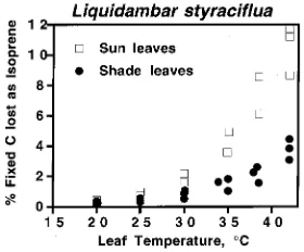 Figure 5. The percentage of fixed carbon lost immediately as isopreneby sun and shade leaves of sweetgum as a function of leaf temperature.Values were calculated on the assumption that five carbon atoms arelost per isoprene molecule emitted.