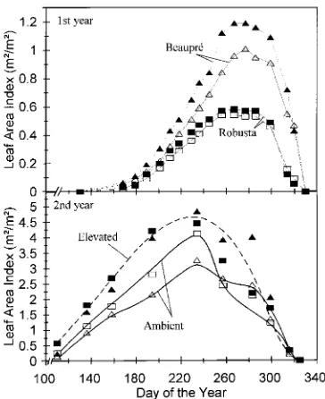Figure 1. Time course of average plant height with time during the firstBeaupré (triangles) and Robusta (squares) grown in open-top cham-bols represent the elevated treatment
