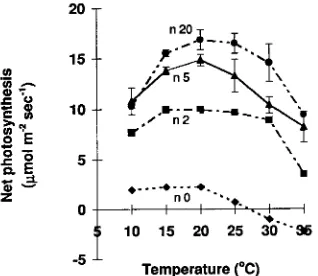 Figure 7. Photosynthetic temperature response curves of leaves ofE. globulus along a branch measured on December 21, 1993