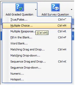 Gambar 13. Pilihan Multiple Choice  