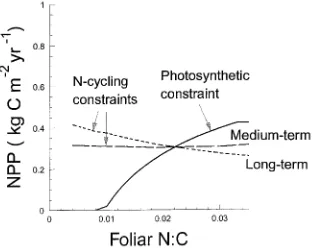 Figure 2. Photosynthetic (solid line) and long-term and medium-termN cycling constraints to production (dashed lines), derived from Equa-tions 5, 13 and 11, respectively