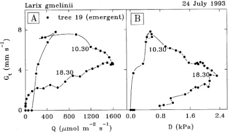Figure 6. Daytime estimates of half-hourly total tree conductances forwater vapor transfer and above-canopy visible irradiance (1993, a clear summer day in eastern Siberia