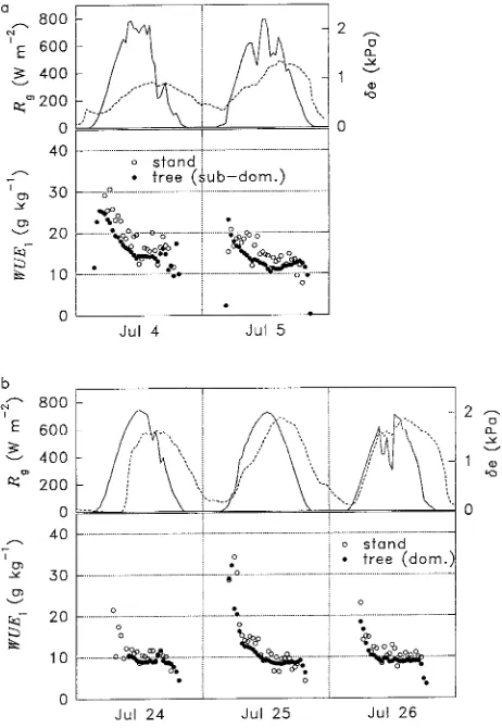 Figure 2. (a) Bottom: Stand-level and subdominant-tree-level instan-taneous water use efficiency (WUEIncident shortwave radiation (stantaneous water use efficiency (WUE(dashed line) of the ambient air