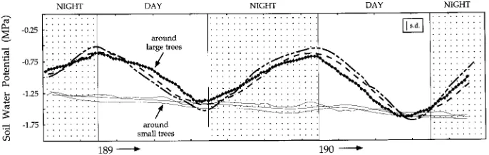 Figure 1. The average soil water potential at 20 cm depth (MPa, dashedline) and leaf water potential (MPa, solid line) during the 1993 grow-ing season showing several periods of water stress