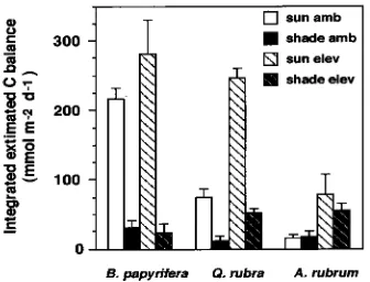 Figure 5. Daily (24 h) integrated leaf carbon balance, based on inter-polated diurnal photosynthetic rates shown in Figure 4