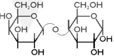 Gambar 3. Struktur Molekul Laktosa (Sumber : Sinuhaji, 2006) 