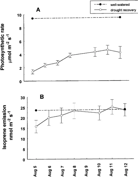 Figure 4. Recovery of mean rates of net photosynthesis and isopreneemission after continuous rewatering