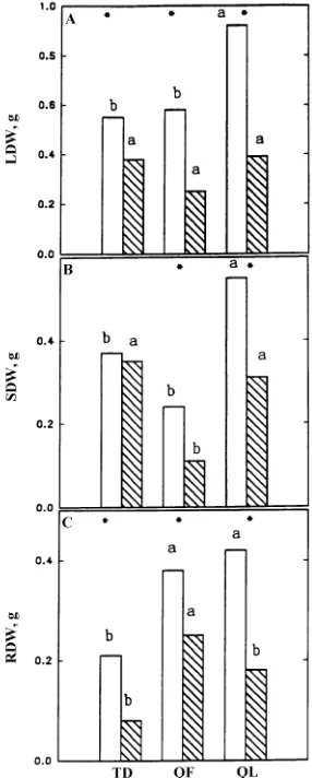 Figure 2. Root elongation in Taxodium distichum22-day experimental period. An asterisk denotes significant differ-falcataredox potential (dashed bars) conditions