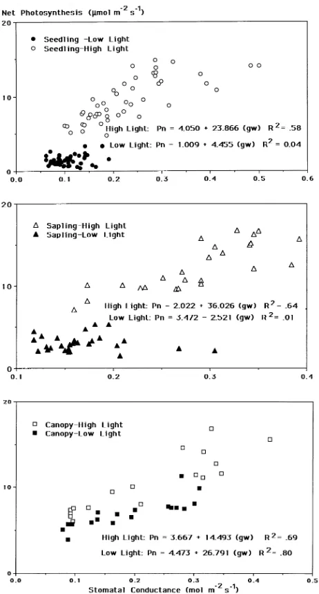 Figure 1. Relationship between mean diurnal net photosynthesis andstomatal conductance for leaves of (a) seedling, (b) sapling, and (c)ments in the Moshannon State Forest, Pennsylvania