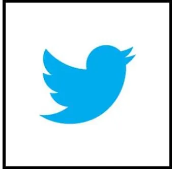 Gambar 2.1. logo Twitter 