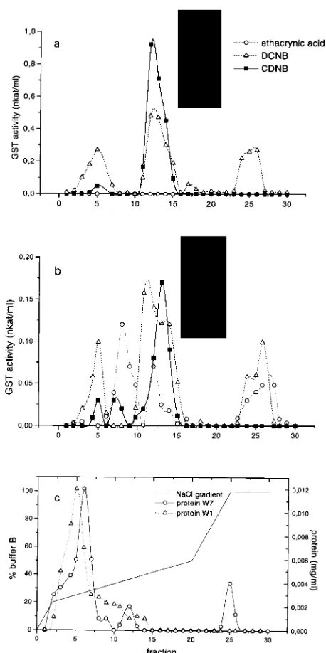 Figure 2. Typical elution pattern of GST activity from a Mono-Q anionexchange column, eluted with an NaCl gradient