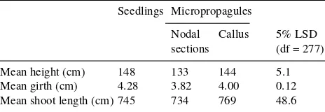 Table 1. Shoot lengths and numbers of leaves of birch seedlings andmicropropagated plants from nodal stem sections or callus tissuegrowing in pots in a greenhouse during 1987.