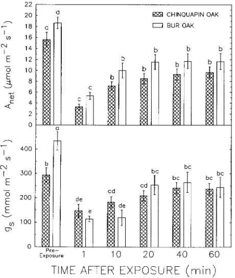 Table 1. Gas exchange characteristics of field-grown bur oak (Quercusindicated by different letters (one-way ANOVA)