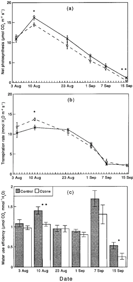 Figure 1. Time course of effects of elevated ozone concentrations on
