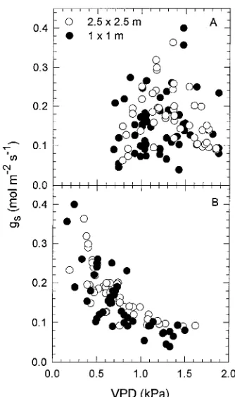 Figure 2. Daily rainfall for January through May 1993 at Waiawa,Hawaii. The arrow indicates the start date for sap flow measurements.