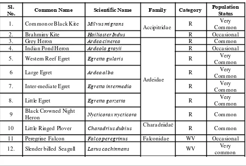 Table 1: List of birds observed in the Mahim bay, Mumbai.