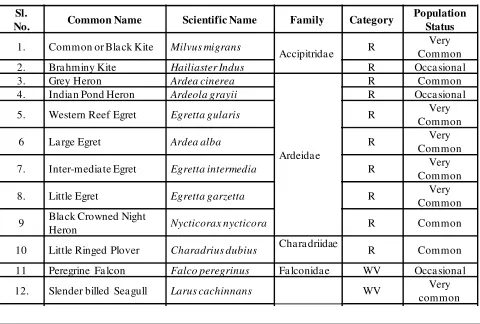 Table 1: List of birds observed in the Mahim bay, Mumbai.
