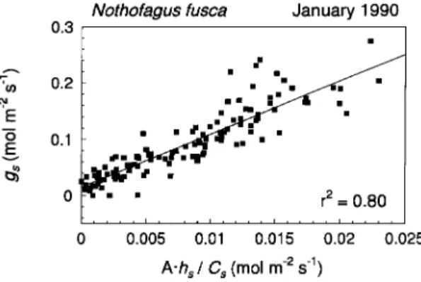 Figure 5. Nothofagus leaf assimilation as a function of temperature (leaf--air vapor pressure difference &lt; 1 kPa)