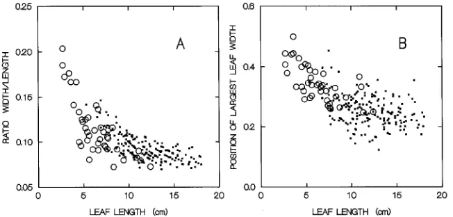 Figure 1. Relationships between leafarea and the product of leaf length andand awidth (A) and between leaf area andleaf length (B), for leaves on syllepticshoots (circles) and proleptic shoots(squares) based on a linear (solid line) non-linear (dotted line