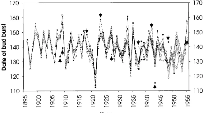 Figure 1. Bud burst data for Betula pen-dula. The dates are measured as thenumber of days since the beginning ofthe year