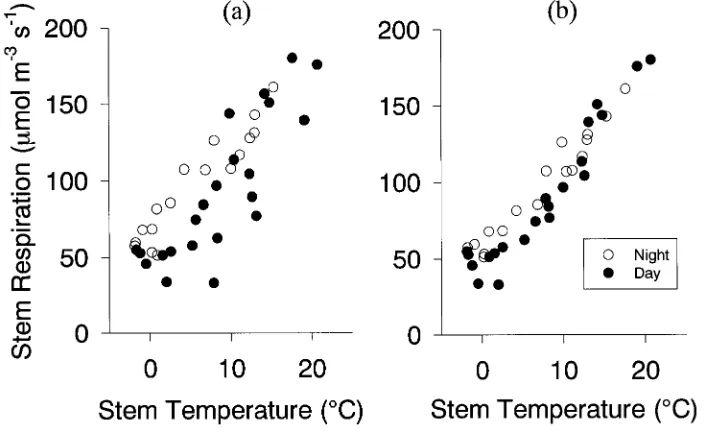 Table 3. Comparison of stem surface area (Astem maintenance respiration rates for balsam fir stands sampled in Newfoundland and New Brunswick