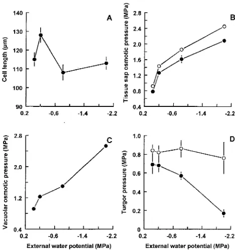 Table 1. Effects of external water potential on elongation growth inhypocotyls and roots, and root growth rates in mopane seedlings.common letter are significantly different at Lengths were measured to the nearest mm; values are given as mean± SE