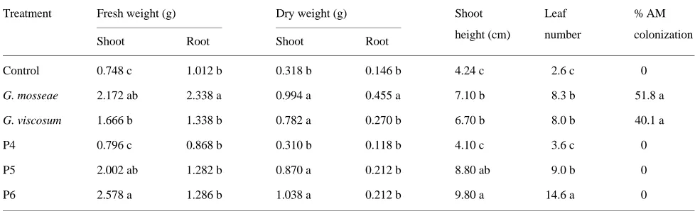 Table 5. Growth parameters and percentage AM colonization 6 months after in vivowith  transplanting of MM 106 micropropagated plants inoculatedGlomus mosseae or Glomus viscosum or fertilized weekly with 0 (Control), 3.1 (P4), 6.2 (P5), 9.3 (P6) mg of P per
