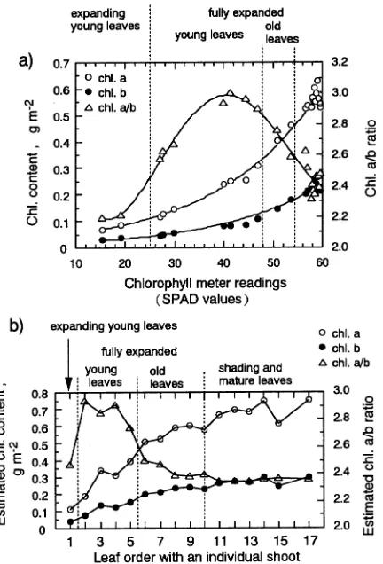 Figure 1. (a) Calibrated relationships between chlorophyll a content(g mand chlorophyll meter readings (SPAD values)