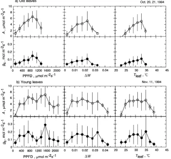 Figure 4. Diurnal changes in mean net photosynthetic rate (Auppermost canopy leaves of , �), mean stomatal conductance to water vapor (gs, �), mean ambient air CO2concentration (Ca, �), mean leaf intercellular CO2 concentration (Ci, �), mean Ci/Ca ratio (�